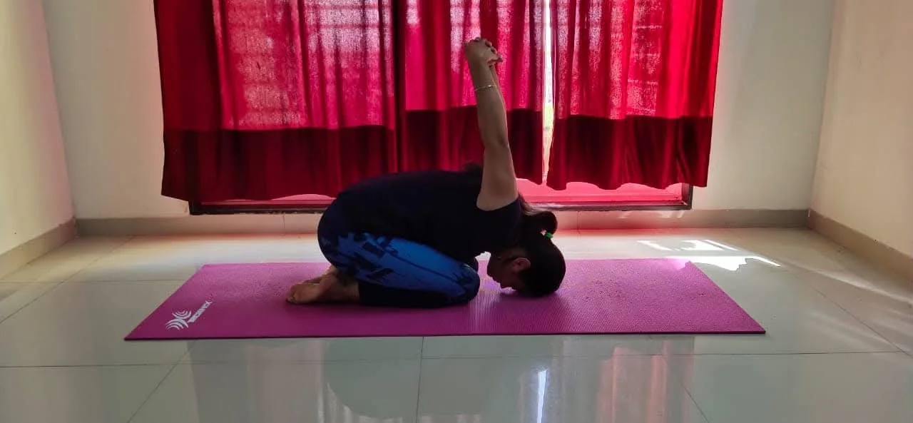 Sufal Yog Gallery Image 22